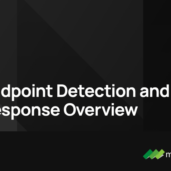 Endpoint Detection and Response (EDR) N-ABLE RMM ภาพรวม