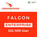 CrowdStrike Falcon