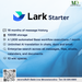 Lark Starter