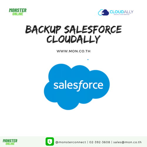 Backup Salesforce CloudAlly